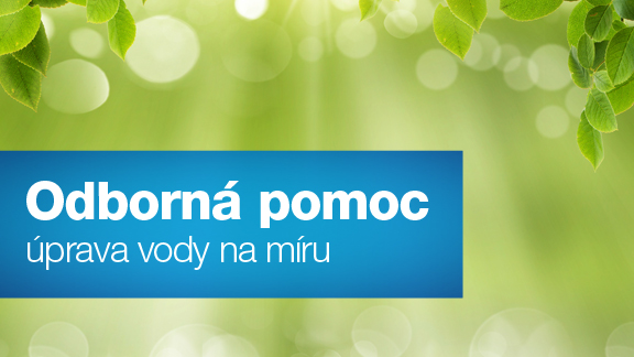 odborna pomoc